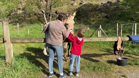 Miniature de la vidéo titrée \"À DOS D'ÂNES LA VIE EST PLUS CALME"